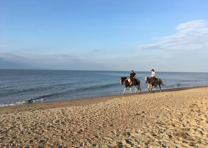 Family 200m From 3 Bedrooms 2 Bathrooms Terrace